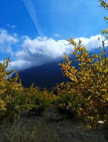 11 5r-arachova